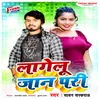 About Lagelu Jaan Pari Song